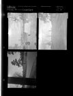 Graveyard (3 Negatives (January 20, 1959) [Sleeve 39, Folder a, Box 17]